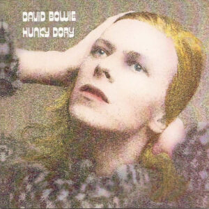 HUNKY DORY