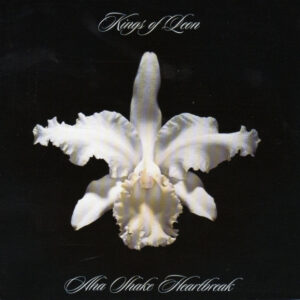 AHA SHAKE HEARTBREAK