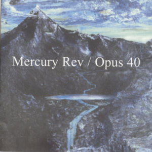 OPUS 40