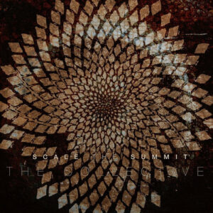 THE COLLECTIVE