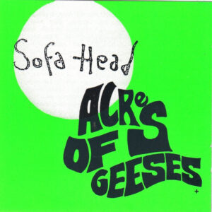 Acres Of Geeses