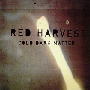 COLD DARK MATTER