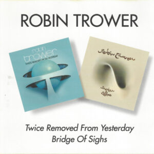 TWICE REMOVED FROM YESTERDAY BRIDGE OF