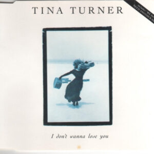 I Don'T Wanna Lose You