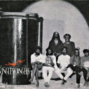 WINGLESS ANGELS