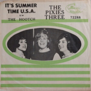 It's Summer Time U.S.A. / The Hootch