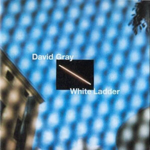 WHITE LADDER