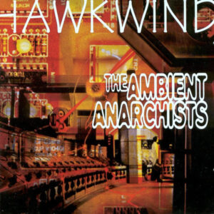 THE AMBIENT ANARCHISTS