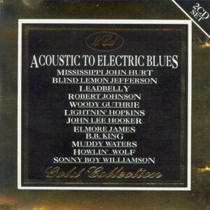 ACOUSTIC TO ELECTRIC BLUES GOL