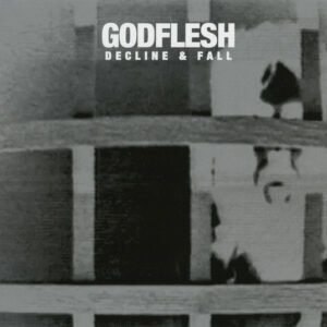 DECLINE and FALL