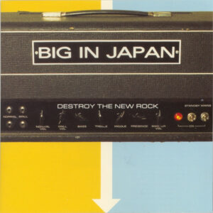 Destroy The New Rock