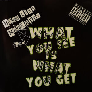 What You See Is What You Get