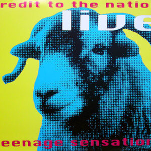 TEENAGE SENSATION