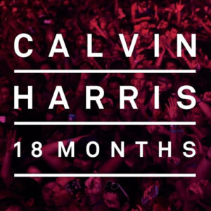 18 MONTHS