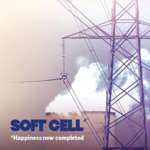 HAPPINESS NOW COMPLETED - RSD 2025