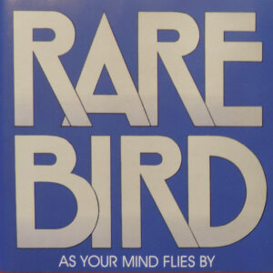 As Your Mind Flies By